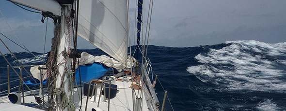 Navegación a vela: Curiosidades
